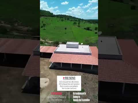 FAZENDA EM RIO SONO TOCANTINS