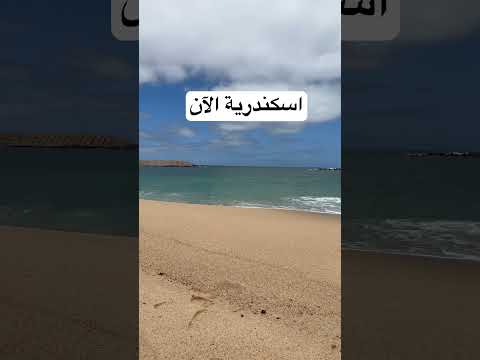 بحر اسكندرية