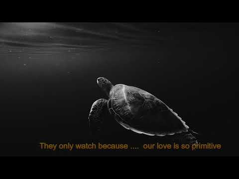 Satin Jackets feat. Niya Wells - Primordial (Extended Mix) Lyrics