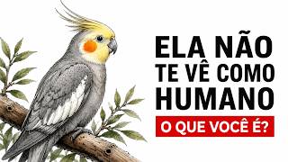 Miniatura do vídeo