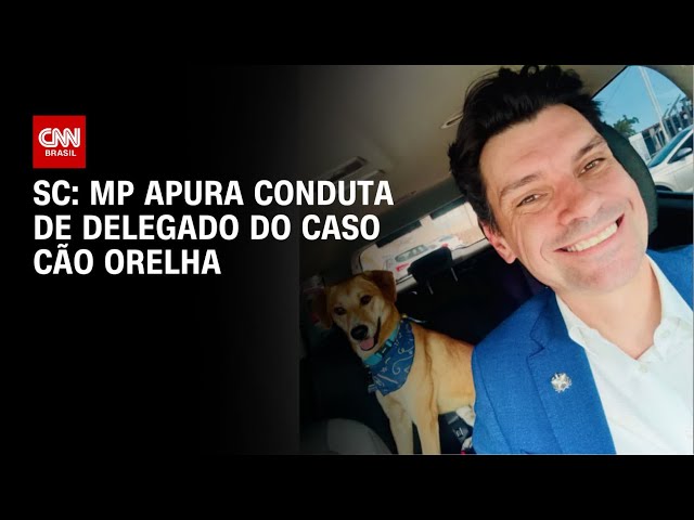 Cão Orelha: conduta de delegado geral é investigada pelo MPSC | CNN NOVO DIA