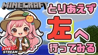 【マインクラフト】とりあえず左へ行く！