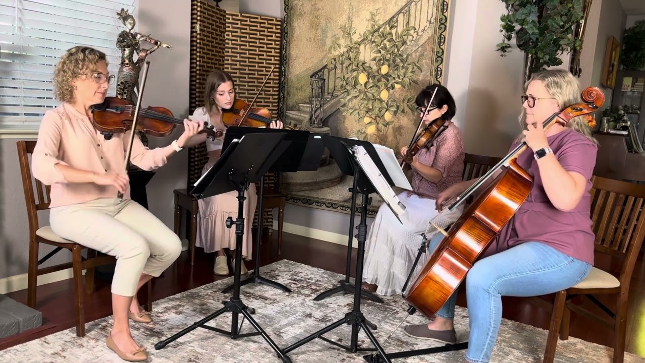 Promotional video thumbnail 3 for Harmony Strings