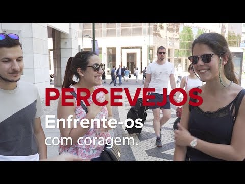 Percevejos – Enfrente-os com eficácia
