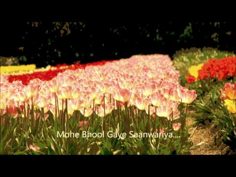 Mohe Bhool Gaye Sawariya | by Nidhi