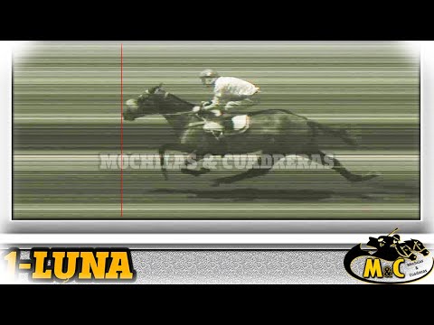 LUNA - 02-11-25 - VERA Y PINTADO - M&C