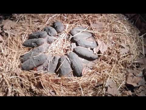 Vídeo Colegio San Blas