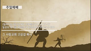 [주일예배] 일하시는 하나님 #7 사무엘상 9:1~4, 15~17 : 일상의 의미를 깨달을 때 세속성에서 벗어날 수 있다.