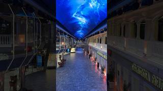 MSC Grandiosa at Port of Nassau Bahamas, the Infinity Atrium and Galleria Grandiosa