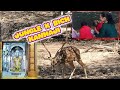 Tulsi Shayam Temple Gir Jungle Hot Water Kund Garam Pani Ka Kund Tulsishyam