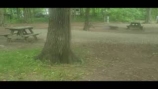 Summit Lake Camping With Water Access Sites Loop A