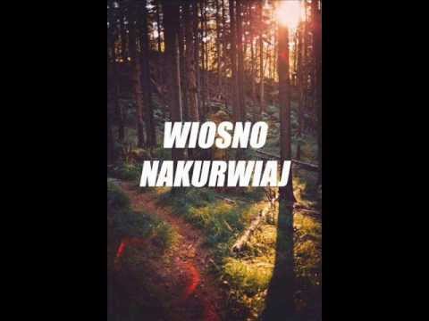 Czarny x Guzu  - Normalizacja