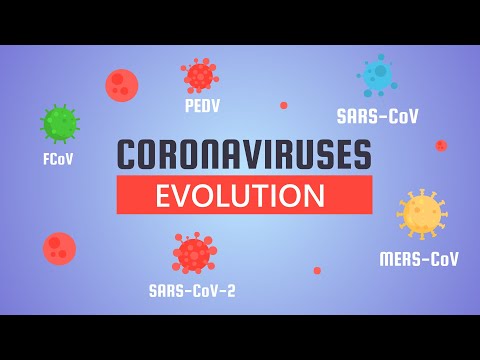 Evolution of Coronaviruses (Animation)