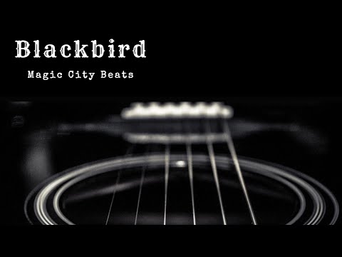 Video thumbnail fKppyZFpagg