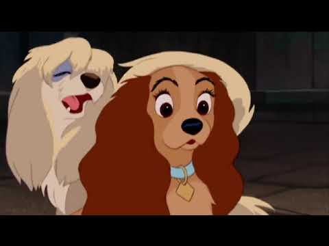 Lilli e il Vagabondo - La canzone di Gilda