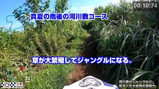 【モトクロス実況】雨後の河川敷はジャングルになってた。