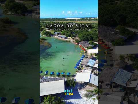 lagoa do vital rio grande do norte