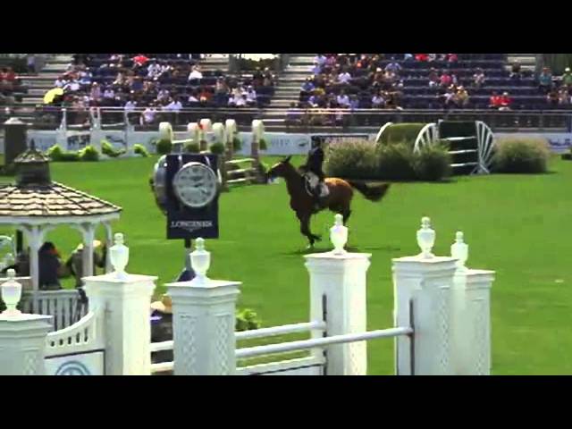 The half-sister of the grandmother of this frozen embryo the CSI 1.60m jumping mare Esquina van Klapscheut with rider  Loran Callagher.