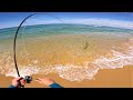 Surprised By Monster Fish While Ultralight Fishing