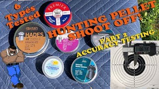HUNTING PELLET SHOOTOUT PT2