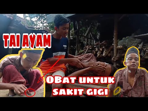 tai-ayam-obat-untuk-sakit-gigi-komedi-madura