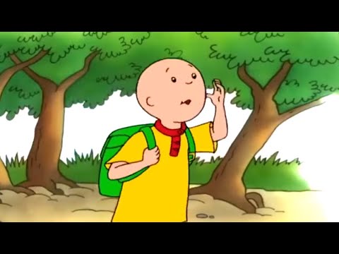 Caillou Gets Lost | Caillou | Cartoons for Kids | WildBrain Kids