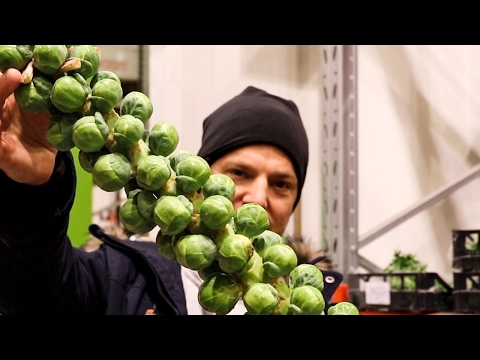 På besök i råvaruhimlen del 10 - Vinterns godsaker