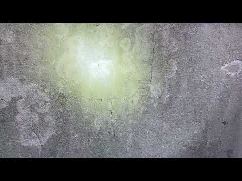 Stopping the Ants From Getting In the Home in Sayreville, NJ