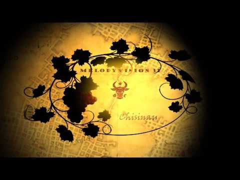 MelodyVision 2016 PRESENTATION