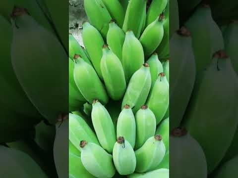 Banana,puwde nang kunin #asmr #foryou #foryou #shortvideo #asmrsound #ashmr