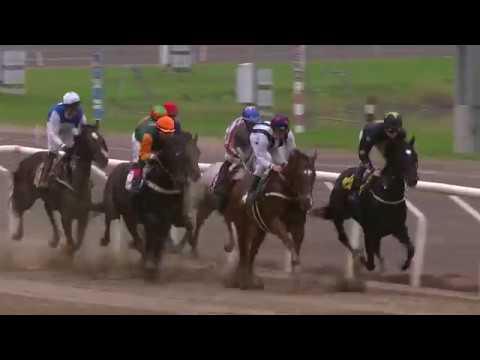 2017.10.15 Jubileumslöpning (SWE) - Hurricane Red