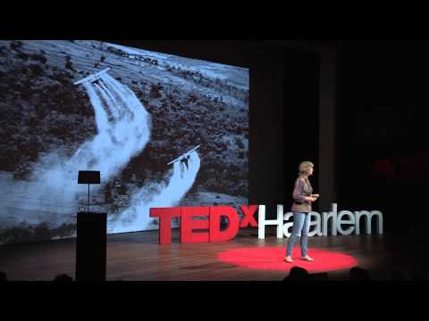 How law can save the Earth. | Femke Wijdekop | TEDxHaarlem
