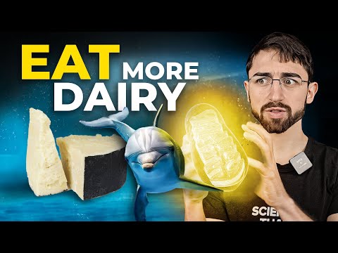 Is This Saturated Fat Really an Essential Nutrient? 15 Fast Facts About C15