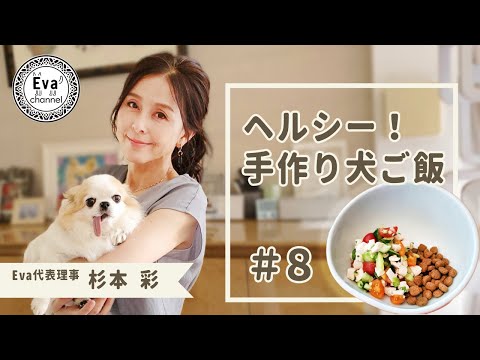 , title : '#8 ヘルシー！手作り犬ごはん「野菜とチキンのジュレ和え」'