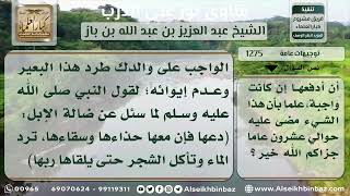 صورة 1275 حكم من وجد مع إبله بعيراً لا يعرف صاحبه - نور على الدرب