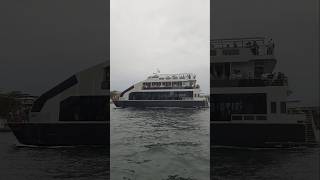 Sydney Starship Cruise 🛳 | #LuckyXplorer #sydney #cruiseship #vlog #travel #shortsviral
