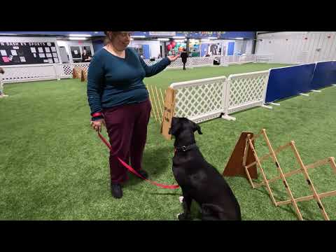 110623 Focus and ring entrances