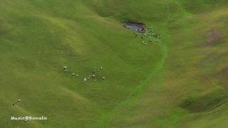 Jordan Klassen - No Salesman