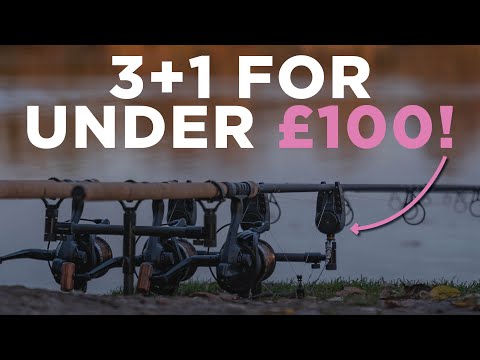 3 Alarms + Receiver For Under £100! | Prologic C Series Bite Alarms