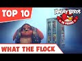 TOP 10 What The Flock Moments