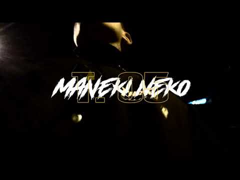 Evik30 ☘️ Maneki Neko