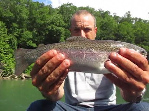 Ep.335-   River Rainbow Trout and Bass