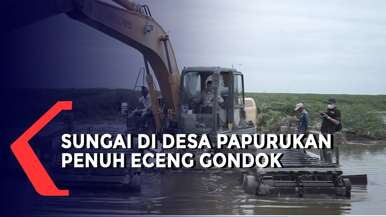 Sungai di Desa Papurukan Dipenuhi Eceng Gondok, Ketua DPRD Kalsel Harapkan Pembuatan Kanal