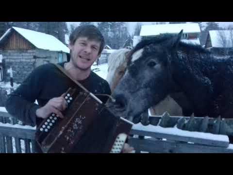 Моя Родина Сибирь!💪👊Павел Гущин👊