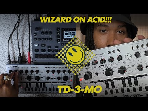 Wizard on Acid | Behringer TD 3 MO | First Few Minutes
