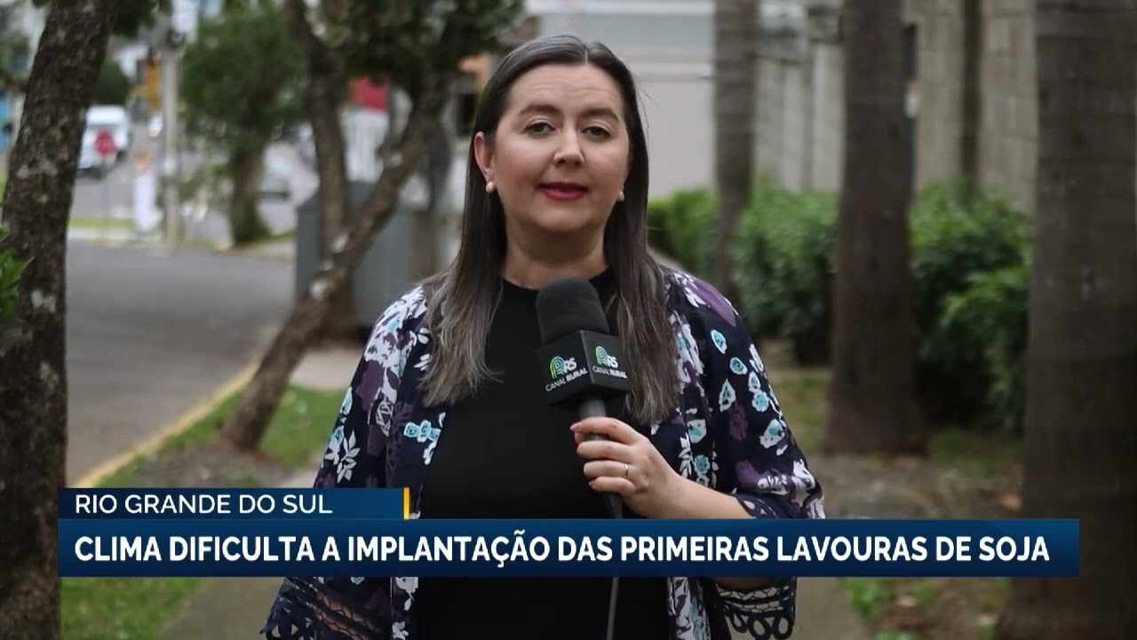 Clima dificulta a implantação das primeiras lavouras de soja no RS