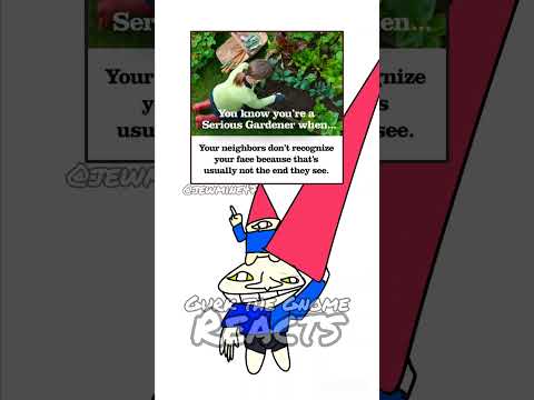 Gurk the Gnome Reacts 🤣🤣🤣☝️☝️☝️ #viral #meme #funny #reaction #memes