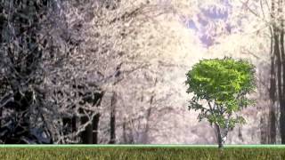 島かおり - 道 （Gメン'75より）