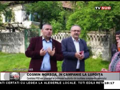 cosmin morega, in campanie la lupoaia