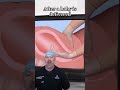 Removing a Placenta by Hand?! 😱 #shorts